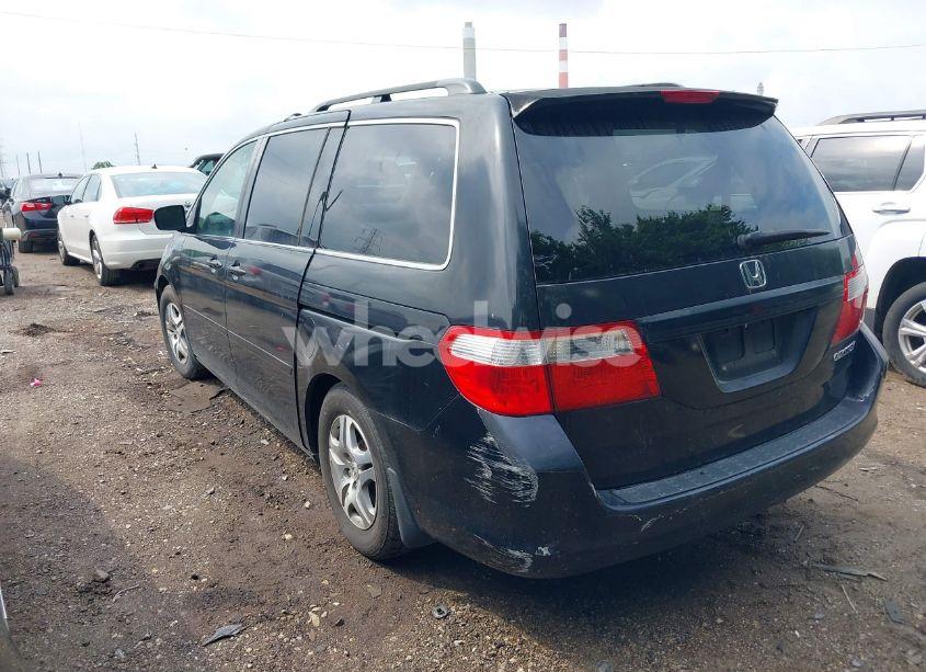 Photo 3 of 2005 Honda Odyssey EX-L (VIN 5FNRL38635B036265)