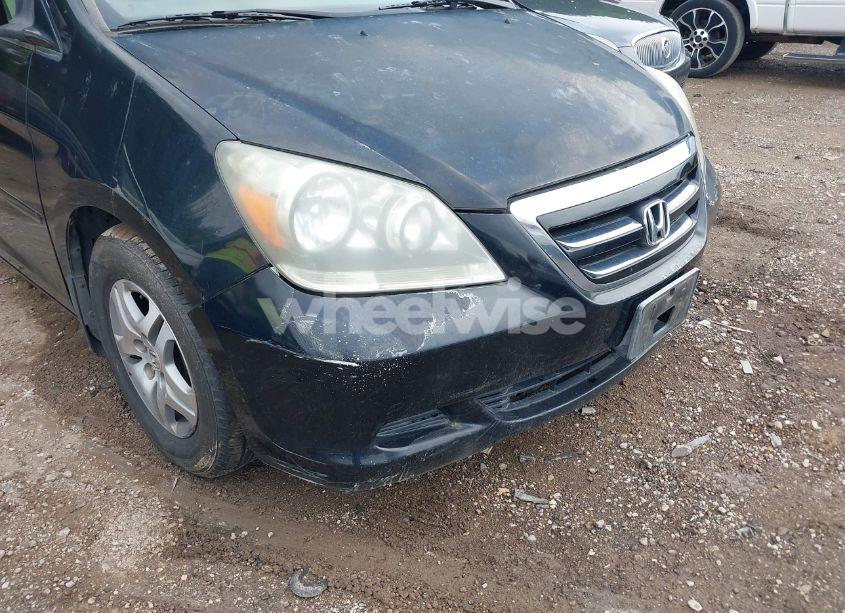 Photo 6 of 2005 Honda Odyssey EX-L (VIN 5FNRL38635B036265)