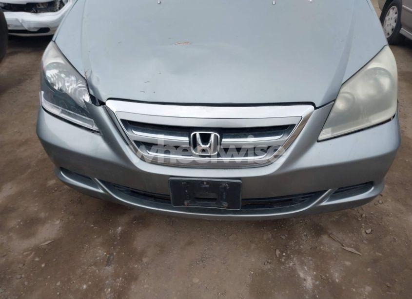 Photo 10 of 2005 Honda Odyssey EX-L (VIN 5FNRL38635B038467)