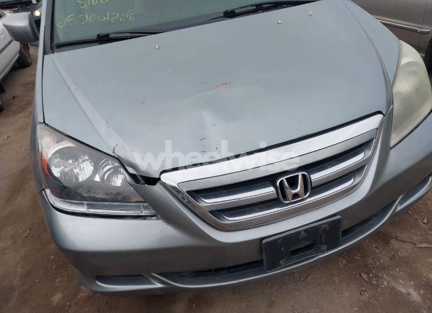 Photo 6 of 2005 Honda Odyssey EX-L (VIN 5FNRL38635B038467)