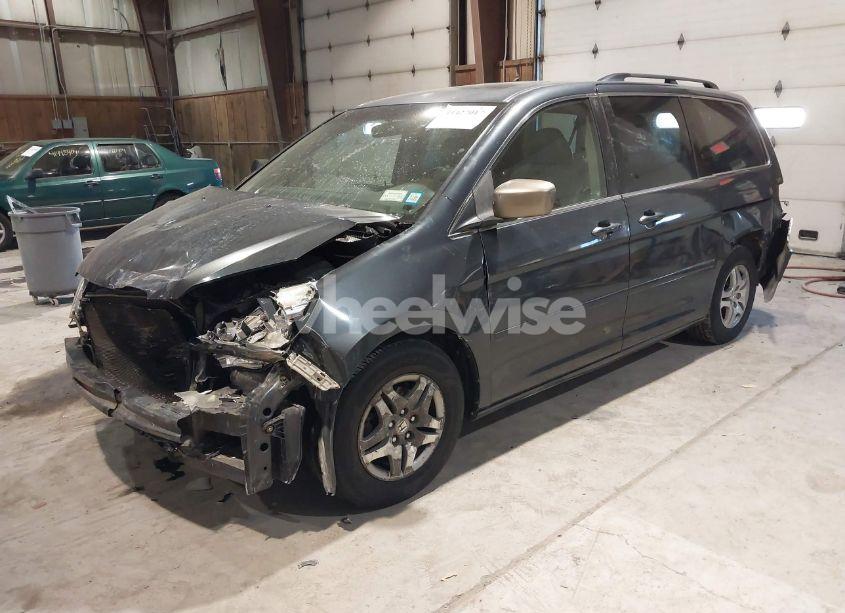 Photo 2 of 2005 Honda Odyssey EX-L (VIN 5FNRL38635B085790)