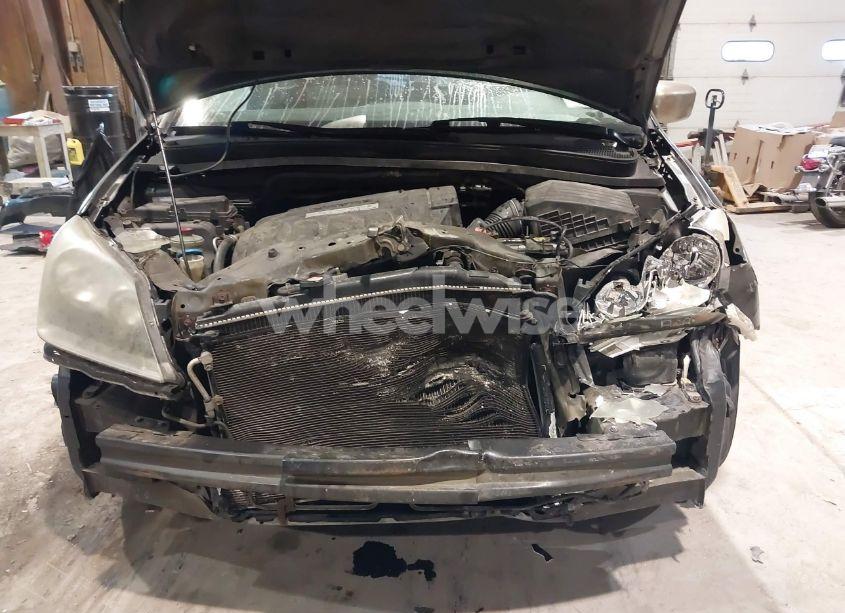 Photo 6 of 2005 Honda Odyssey EX-L (VIN 5FNRL38635B085790)