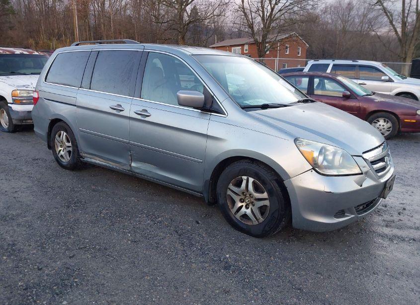 2005 Honda Odyssey EX-L (VIN 5FNRL38635B096286) main photo