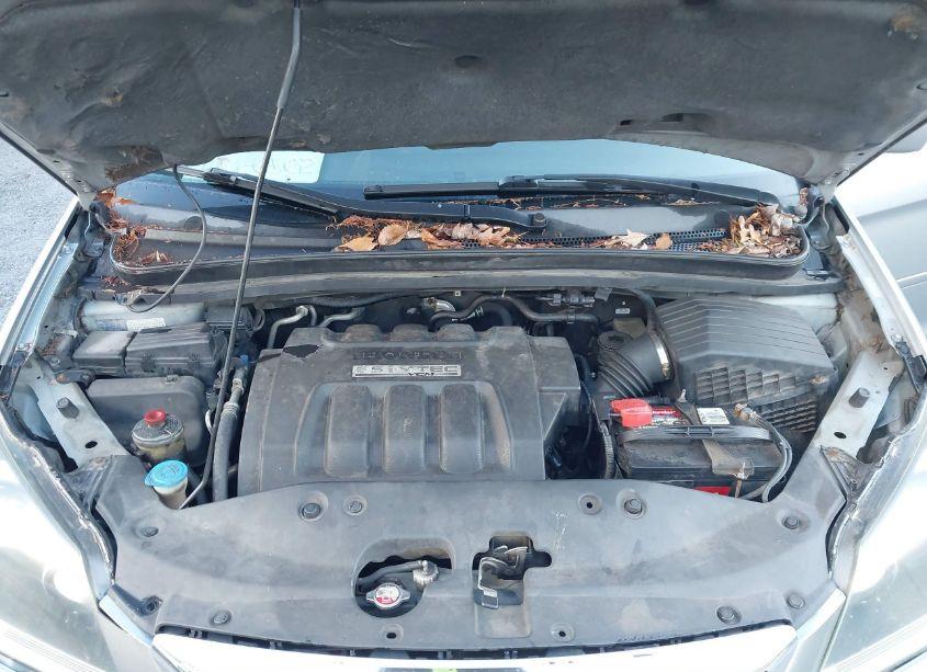 Photo 10 of 2005 Honda Odyssey EX-L (VIN 5FNRL38635B096286)