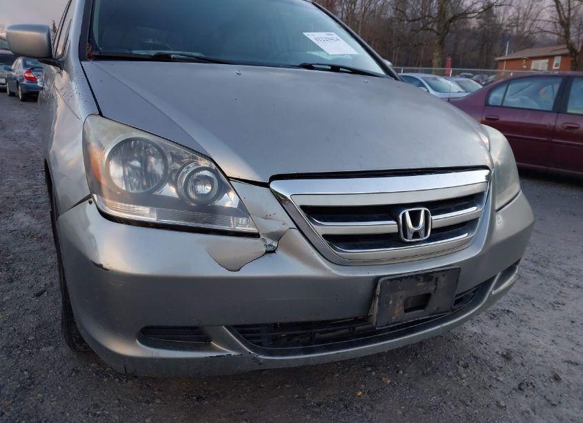 Photo 13 of 2005 Honda Odyssey EX-L (VIN 5FNRL38635B096286)