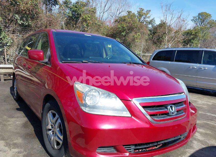 2005 Honda Odyssey EX-L (VIN 5FNRL38635B408977) main photo