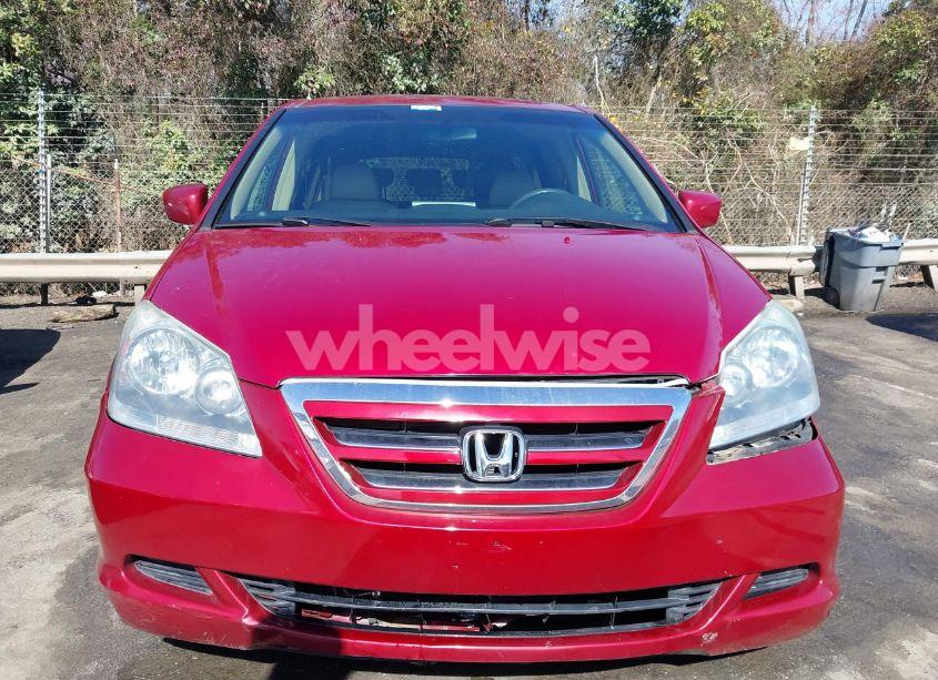 Photo 12 of 2005 Honda Odyssey EX-L (VIN 5FNRL38635B408977)