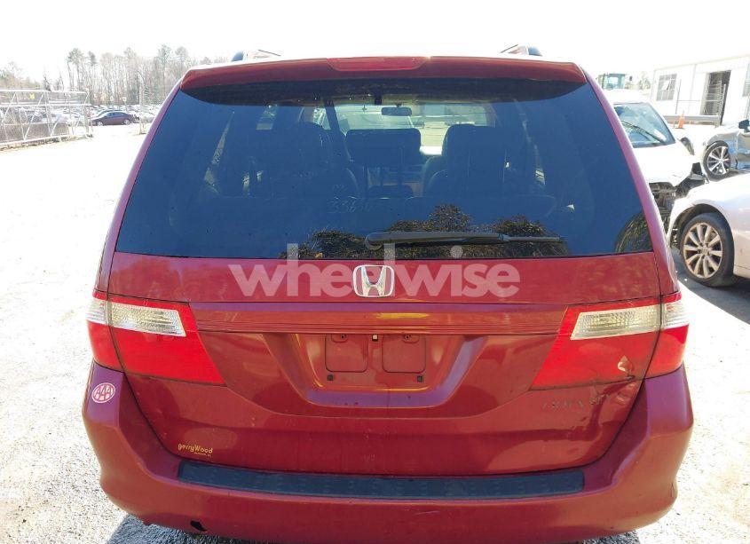 Photo 16 of 2005 Honda Odyssey EX-L (VIN 5FNRL38635B408977)