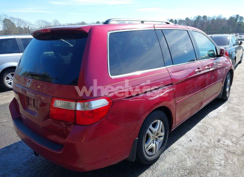 Photo 4 of 2005 Honda Odyssey EX-L (VIN 5FNRL38635B408977)