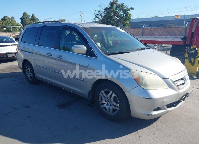 2005 Honda Odyssey EX-L (VIN 5FNRL38635B416982) main photo