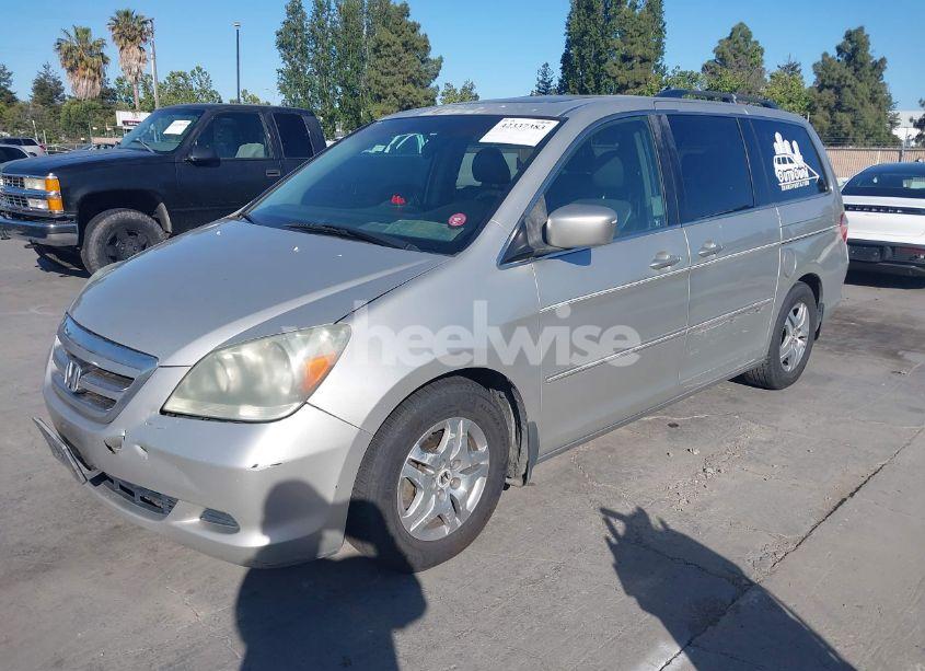 Photo 2 of 2005 Honda Odyssey EX-L (VIN 5FNRL38635B416982)