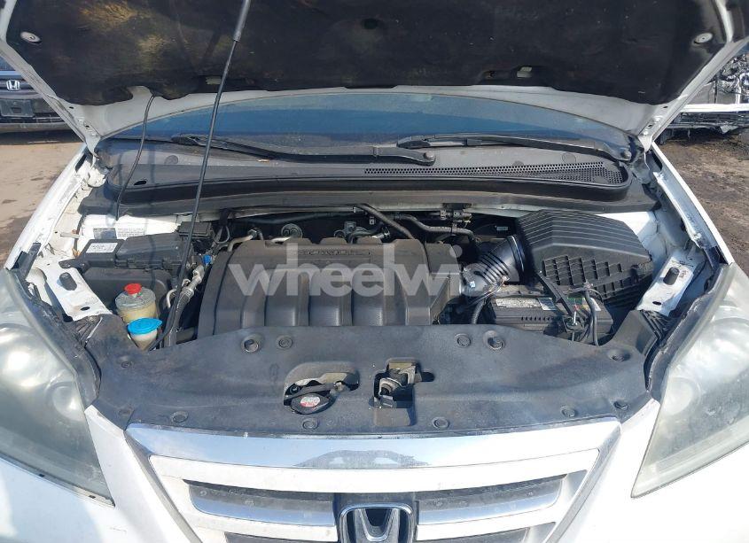 Photo 10 of 2006 Honda Odyssey EX-L (VIN 5FNRL38636B061555)