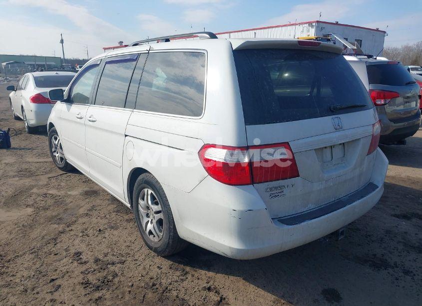 Photo 3 of 2006 Honda Odyssey EX-L (VIN 5FNRL38636B061555)