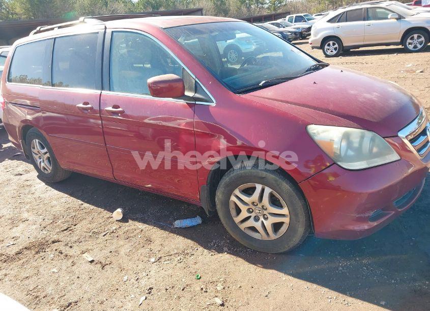 2006 Honda Odyssey EX-L (VIN 5FNRL38636B428695) main photo