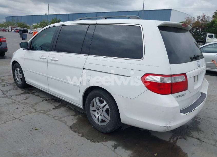 Photo 3 of 2006 Honda Odyssey EX-L (VIN 5FNRL38636B455489)
