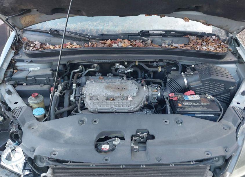 Photo 10 of 2007 Honda Odyssey EX-L (VIN 5FNRL38637B009425)