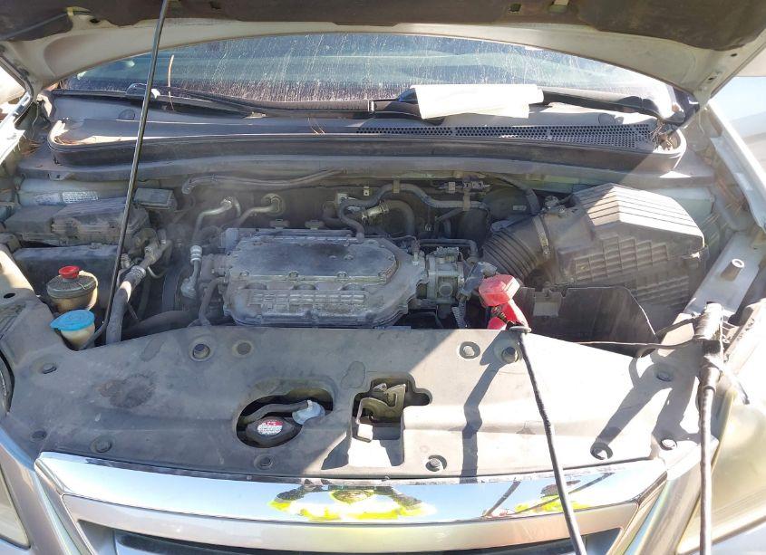 Photo 10 of 2007 Honda Odyssey EXL (VIN 5FNRL38637B082827)