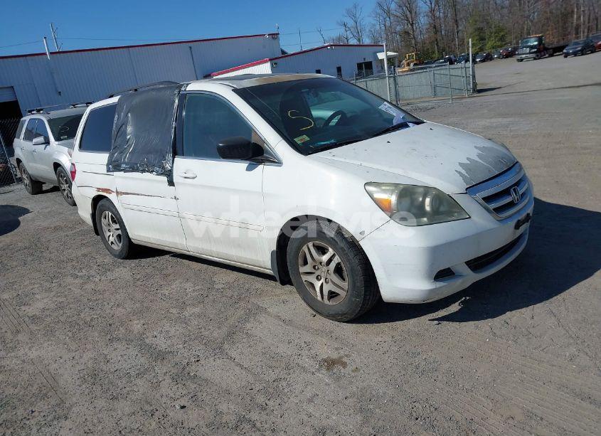 2007 Honda Odyssey EX-L (VIN 5FNRL38637B436216) main photo