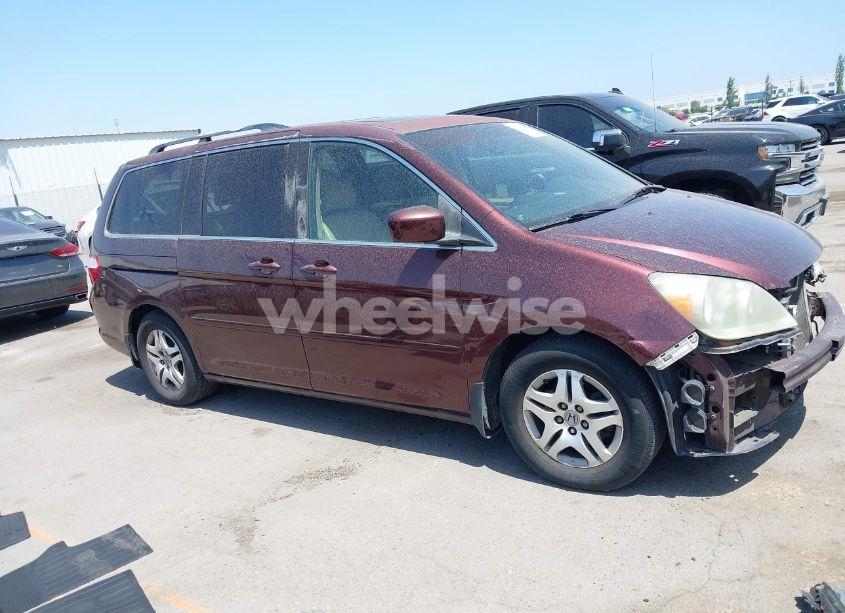 Photo 14 of 2007 Honda Odyssey EX-L (VIN 5FNRL38637B439312)