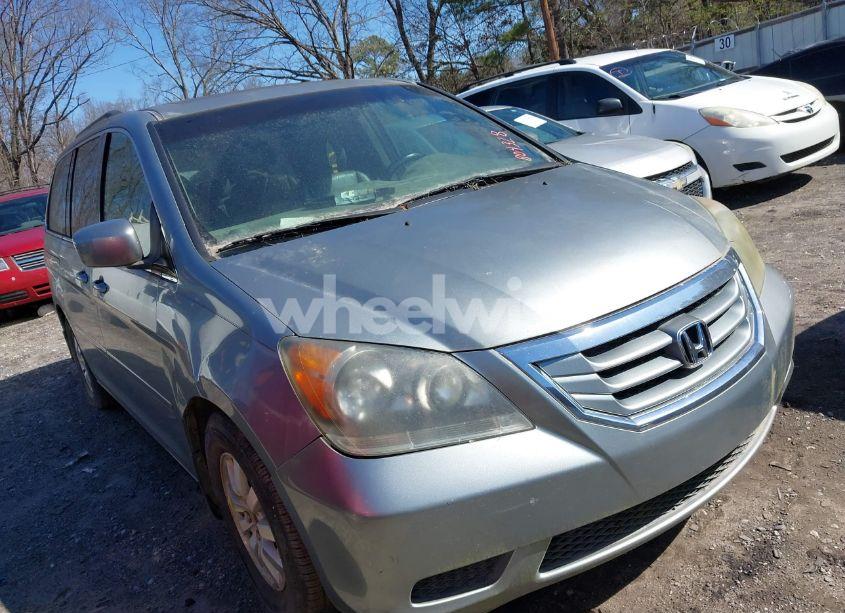 2008 Honda Odyssey EX-L (VIN 5FNRL38638B042328) main photo