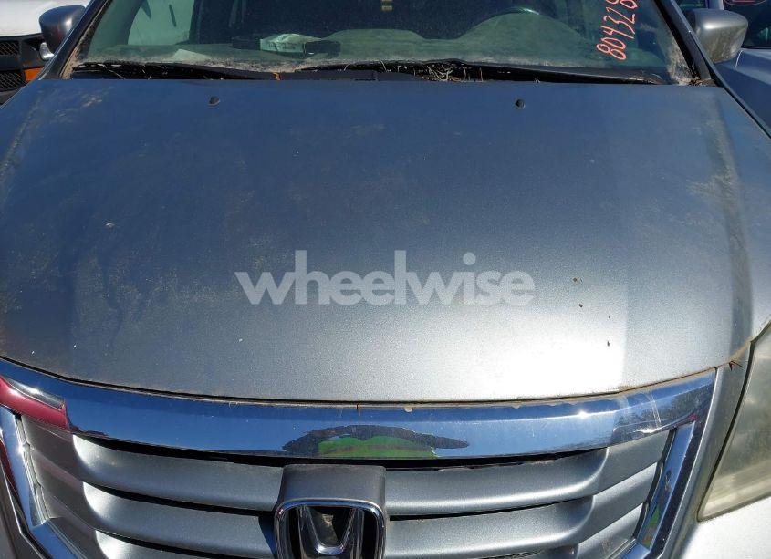 Photo 10 of 2008 Honda Odyssey EX-L (VIN 5FNRL38638B042328)