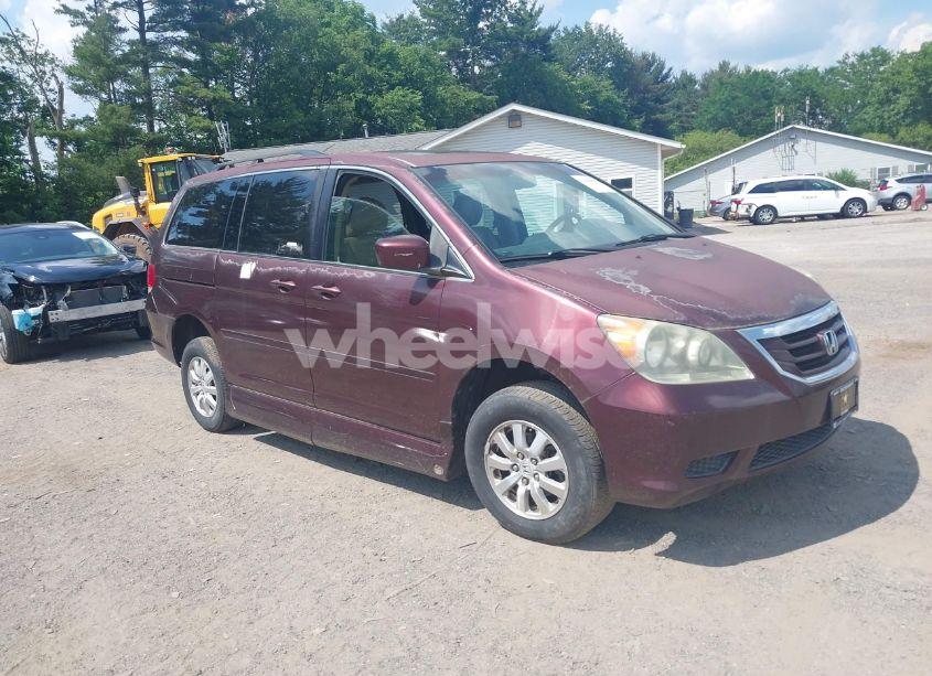 2008 Honda Odyssey EX-L (VIN 5FNRL38638B413763) main photo