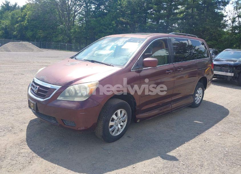 Photo 2 of 2008 Honda Odyssey EX-L (VIN 5FNRL38638B413763)