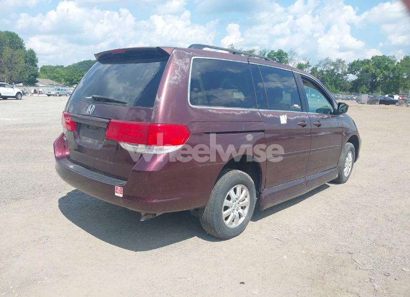 Photo 4 of 2008 Honda Odyssey EX-L (VIN 5FNRL38638B413763)