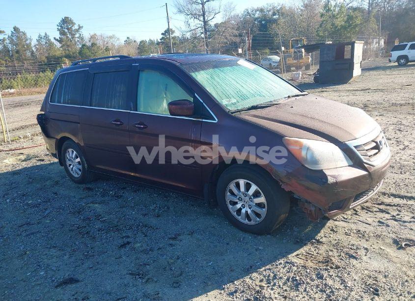 2009 Honda Odyssey EX-L (VIN 5FNRL38639B405258) main photo