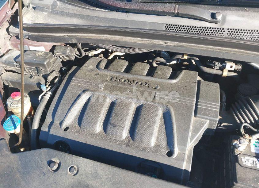 Photo 10 of 2009 Honda Odyssey EX-L (VIN 5FNRL38639B405258)