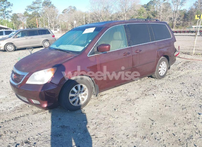 Photo 2 of 2009 Honda Odyssey EX-L (VIN 5FNRL38639B405258)