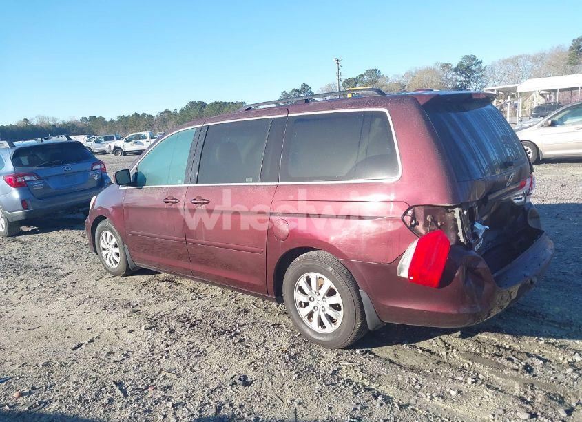 Photo 3 of 2009 Honda Odyssey EX-L (VIN 5FNRL38639B405258)