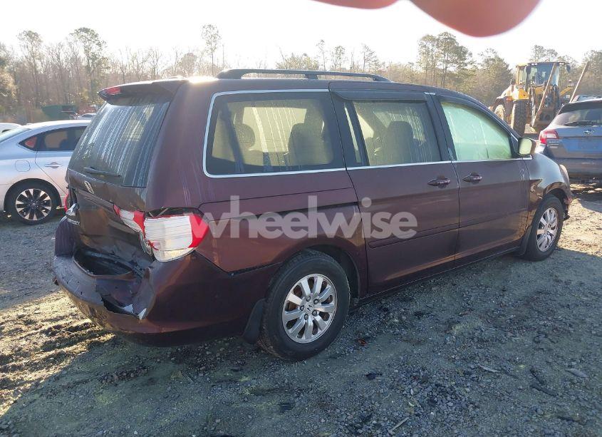 Photo 4 of 2009 Honda Odyssey EX-L (VIN 5FNRL38639B405258)