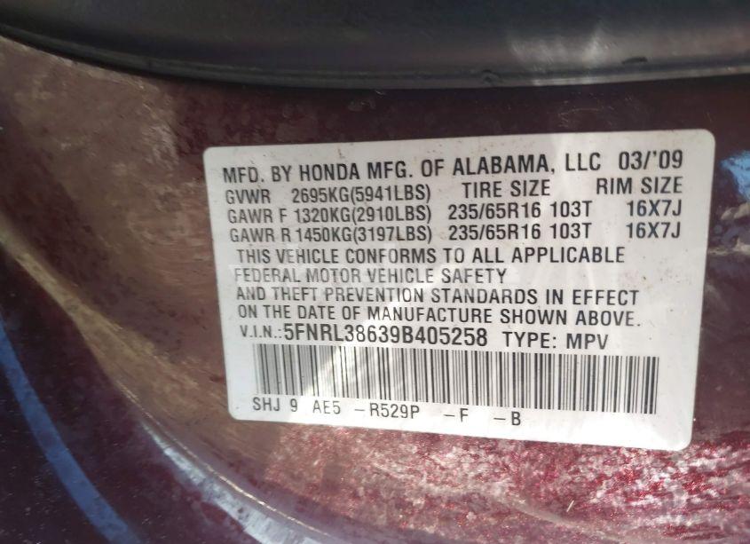 Photo 9 of 2009 Honda Odyssey EX-L (VIN 5FNRL38639B405258)