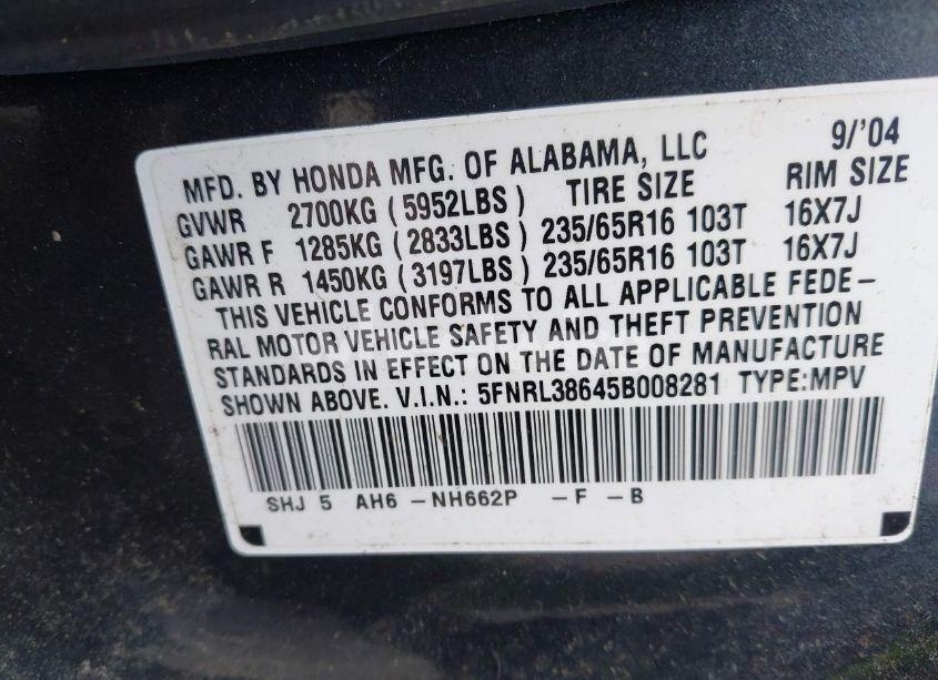Photo 9 of 2005 Honda Odyssey EX-L (VIN 5FNRL38645B008281)