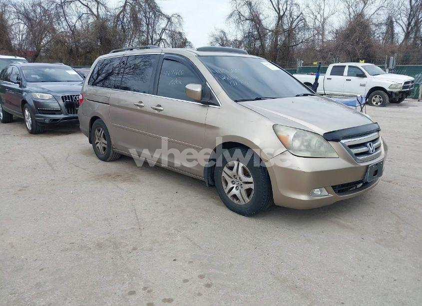 2005 Honda Odyssey EX-L (VIN 5FNRL38645B047324) main photo
