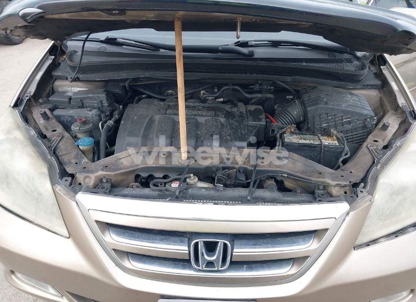 Photo 10 of 2005 Honda Odyssey EX-L (VIN 5FNRL38645B047324)