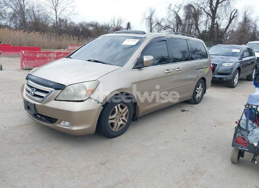 Photo 2 of 2005 Honda Odyssey EX-L (VIN 5FNRL38645B047324)