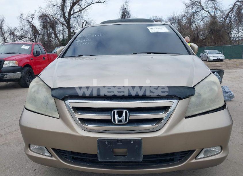 Photo 6 of 2005 Honda Odyssey EX-L (VIN 5FNRL38645B047324)