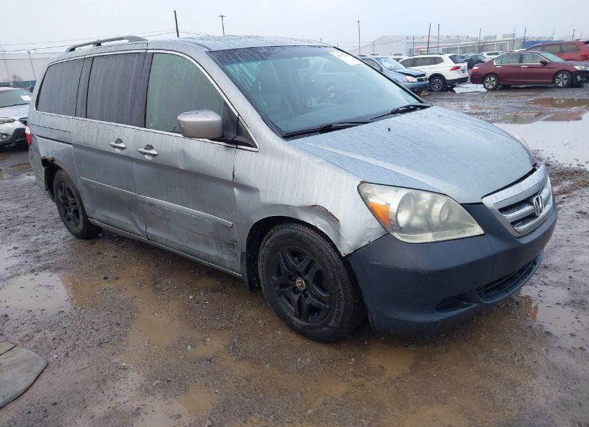 2005 Honda Odyssey EX-L (VIN 5FNRL38645B066682) main photo