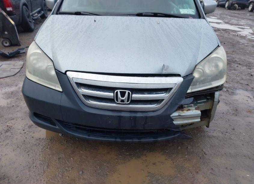 Photo 12 of 2005 Honda Odyssey EX-L (VIN 5FNRL38645B066682)