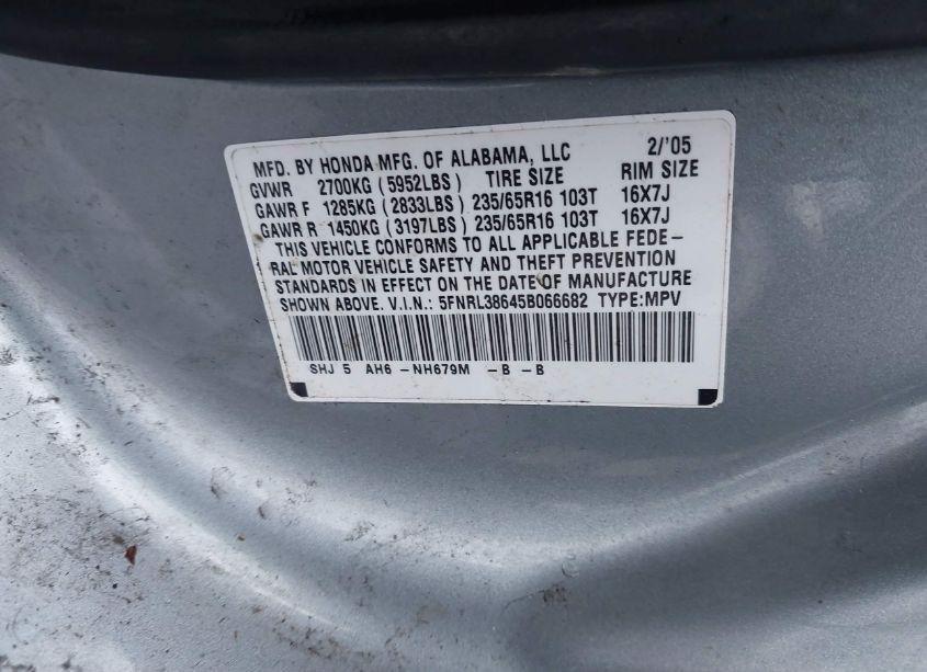 Photo 9 of 2005 Honda Odyssey EX-L (VIN 5FNRL38645B066682)