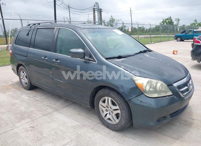 2005 Honda Odyssey EX-L (VIN 5FNRL38645B115699) main photo
