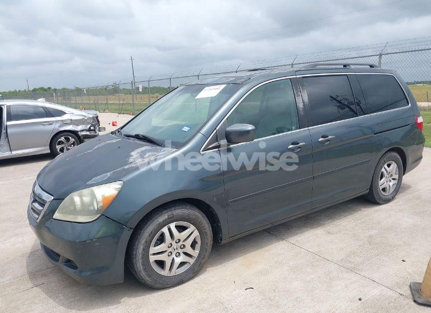 Photo 2 of 2005 Honda Odyssey EX-L (VIN 5FNRL38645B115699)