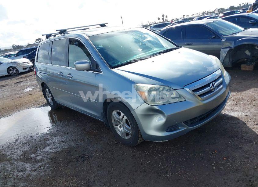 2005 Honda Odyssey EX-L (VIN 5FNRL38645B132826) main photo