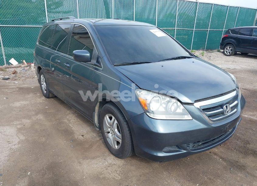 2005 Honda Odyssey EX-L (VIN 5FNRL38645B421253) main photo