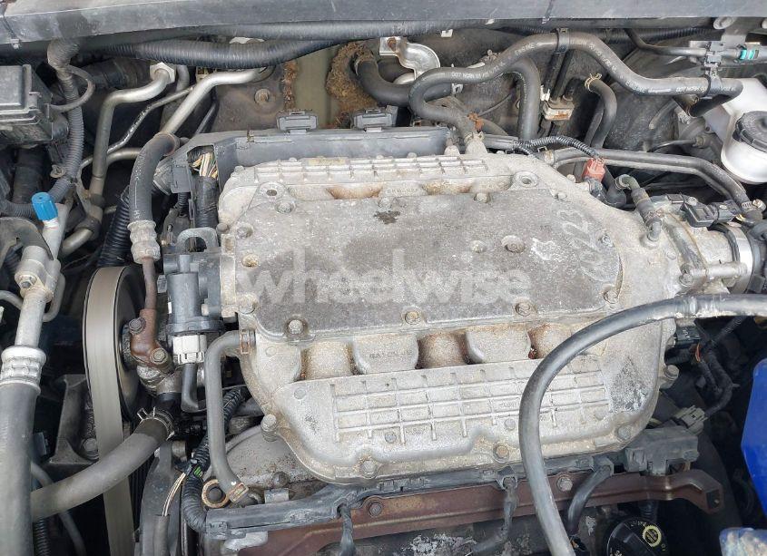 Photo 10 of 2005 Honda Odyssey EX-L (VIN 5FNRL38645B421253)