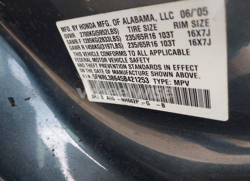 Photo 9 of 2005 Honda Odyssey EX-L (VIN 5FNRL38645B421253)