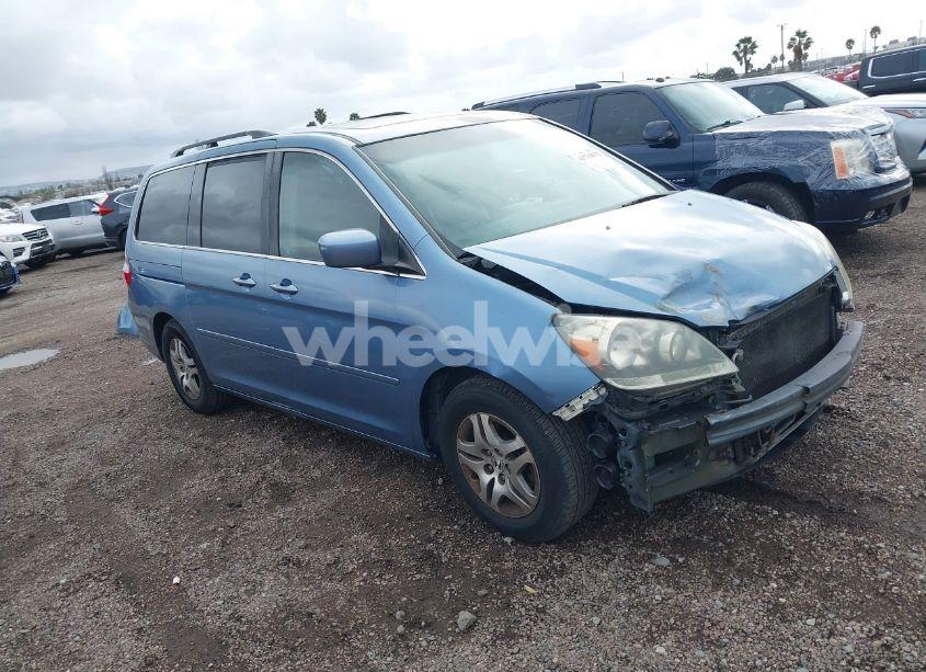 2006 Honda Odyssey EX-L (VIN 5FNRL38646B058678) main photo