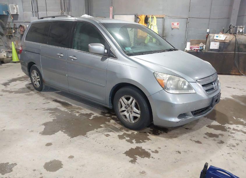 2006 Honda Odyssey EX-L (VIN 5FNRL38646B113100) main photo
